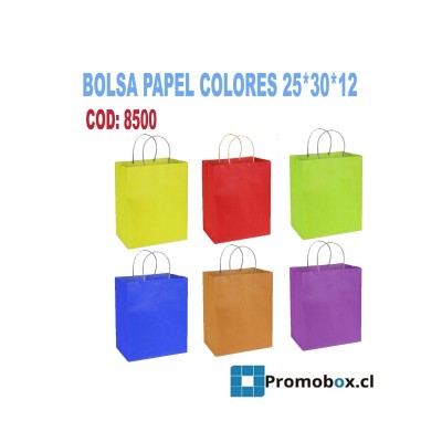 8500 - BOLSAS COLOR 25*30*12
