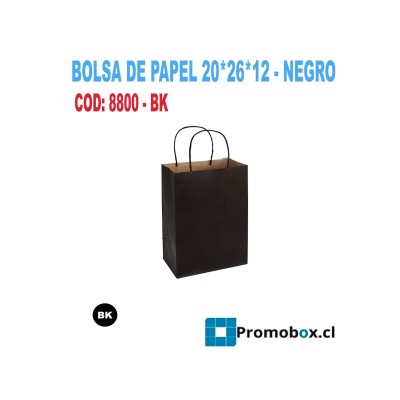 practica BOLSA DE PAPEL