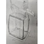 ECONOMICO EMPAQUE PROMOCIONAL